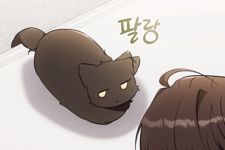 สปอยเลอร์ดิบ! อ่าน Manhwa BL Cat Therapy บทที่ 23 เป็นภาษาไทย, โลกที่พังทลาย