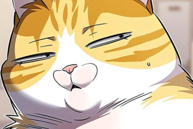 สปอยล์! Manhwa RAW Eleceed ตอนที่ 364 ซับไทย ไคเดนเป็นห่วงจริงๆ แต่เขาซ่อนความรู้สึกเก่งจริงๆ