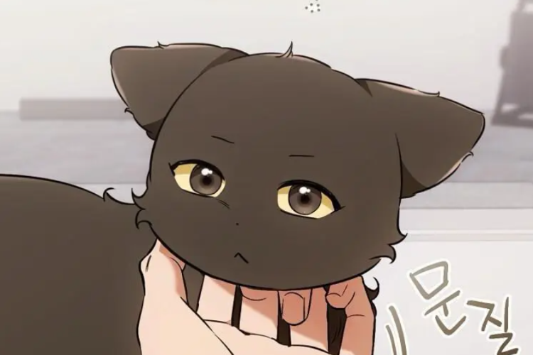 ความจริงใจรัก! สปอยเลอร์และลิงค์สําหรับอ่านหนังสือ Manhwa BL Cat Therapy บทที่ 24 เป็นภาษาไทย